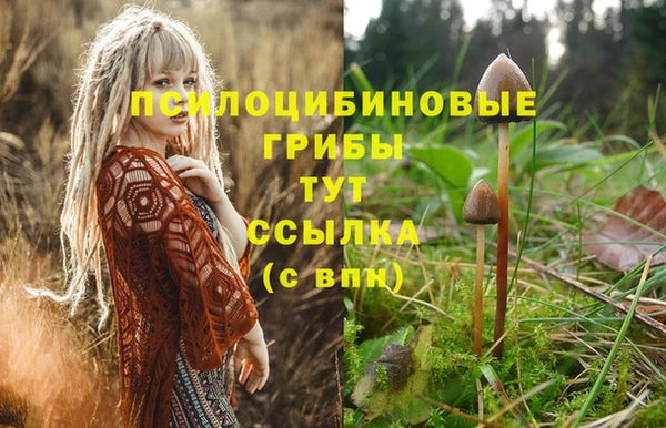 кристаллы Карпинск