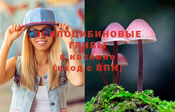 кристаллы Карпинск
