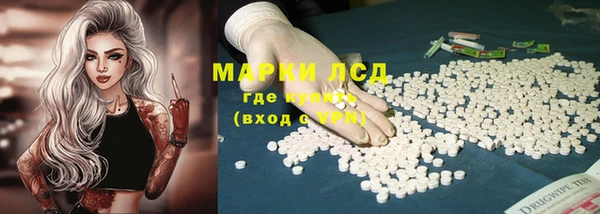 прущие грибы Кодинск