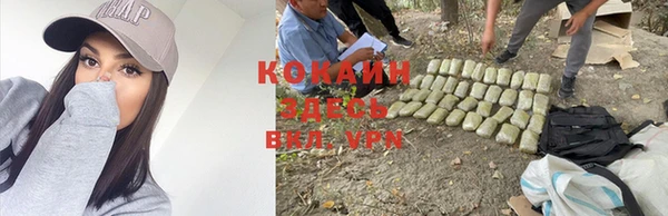 PSILOCYBIN Кинешма