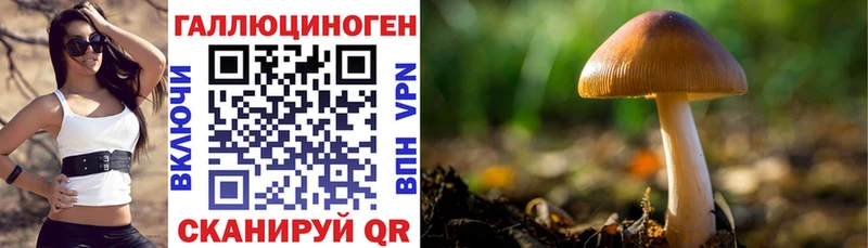 Галлюциногенные грибы мицелий  Купить где  Гусиноозёрск 
